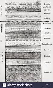 a chart of strata layers of sedimentary rock or soil from