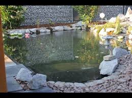 Obwohl wasserpflanzen gern viel licht haben, steht der teich besser nicht in der prallen mittagssonne.dadurch steigt die wassertemperatur und der sauerstoffgehalt verringert sich. Koi Quelle Reich Teich Und Gartenbau