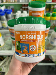 Norshield 58WP