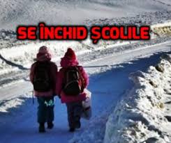 Anunțul a fost făcut de către ministra sănătății, viorica dumbrăveanu. Cazurile De Gripa Inchid Ècolile AnunÈul Inspectoratului Ècolar Al Capitalei Evenimentul Zilei