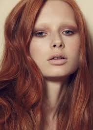 Red Hair Natural Make Up Bleached Eyebrows Me But My Eyebrows Are Naturally This Color Makeup Tips For Redheads Bleached Eyebrows Red Eyebrows