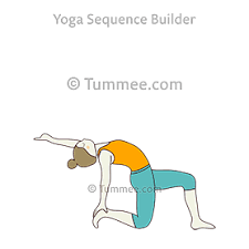 It stretches the front body (hips, psoas, abs, chest, shoulders practice stretching your long camel neck by reaching one hand up while the other stays at the low back or heel. Half Camel Pose On Toe One Leg In Front Yoga Ardha Ustrasana On Toe One Leg In Front Yoga Sequences Benefits Variations And Sanskrit Pronunciation Tummee Com