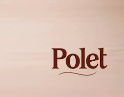 Its initial orbit had a perigee of 339 km and an apogee of 592 km. Polet Projects Photos Videos Logos Illustrations And Branding On Behance