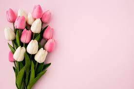 All of these flower background images and vectors have high resolution and can be used as banners, posters or wallpapers. Flower Top Images Free Vectors Stock Photos Psd