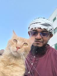 Cats in Dubai with Burj Al Arab