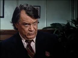 "The Dukes of Hazzard" Witness: Jesse Duke (TV Episode 1983)