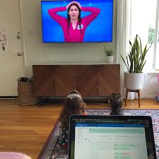 You know us for meetings, but have you tried zoom phone? When Mom S Zoom Meeting Is The One That Has To Wait The New York Times