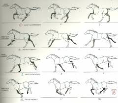 Pin By Luna On Drawings Horse Animation Horse Drawings Horse Drawing Tutorial