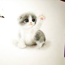 Hamsters look very cute and harmless with gullible eyes. I Draw Furry Adorable Animals To Cure Unhappiness Bored Panda