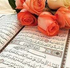 instagram photo by كــافـيـتـالــي jun 3 2016 at 2 02am utc quran quran surah quran book