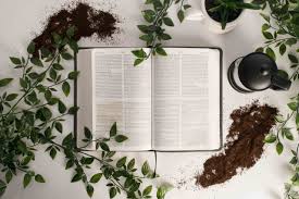 What is the Gospel of Salvation? - The Redemptive Roadmap of God - Libby  Living Life
