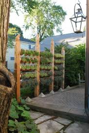 Pin On Herb Garden