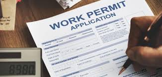 Check spelling or type a new query. Work Visa Usa How To Get Us Work Permits