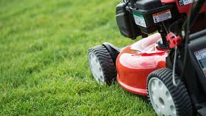 We have 316 reviews from customers in thermal and a 4.65 / 5 average rating! Lawn Care And Maintenance Tips Lowe S Canada