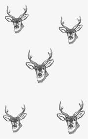 Deer season is coming near which means there will be a lot of bright orange hats and vests around town once again. Deer Skull Drawing Drawing Transparent Png 994x804 Free Download On Nicepng