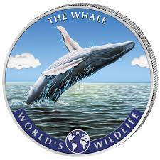 Humpback whales can grow to as long as 50ft (15m) and weigh about 36 tons. 20 Francs World S Wildlife Humpback Whale Buckelwal Farbe Kongo Congo 1 Oz Silber 2020 Munzdachs