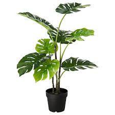 Piante finte da esterno ikea. Fejka Pianta Artificiale Con Vaso Da Interno Esterno Monstera Ikea It