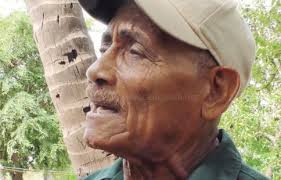 El Nuevo Diario by El Nuevo Diario