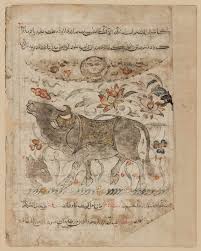 Ibn Bakhtishu S Advantages Derived From Animals Water Buffalo Museum Of Fine Arts Boston Animals Museum Of Fine Arts Water Buffalo