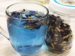 Cây hoa đậu biếc còn gọi là đậu hoa tím hay bông biếc, tên khoa học là clitoria ternatean, thuộc chi đậu biếc, họ đậu (fabaceae). Chuyen Gia Chá»‰ Ra Tac Dá»¥ng Cá»§a Hoa Ä'áº­u Biáº¿c Ä'á»'i Vá»›i Sá»©c Khoáº» Tin Tá»©c Má»›i Nháº¥t 24h Ä'á»c Bao Lao Ä'á»™ng Online Laodong Vn