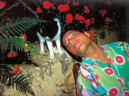 Freddie mercury (born farrokh bulsara; Freddie Mercury Born Farrokh Bulsara 1946 1991 British Zanzibari