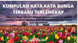 Bunga matahari adalah sebuah bunga yang memiliki ciri khusus yaitu setiap berbunga selalu mengikuti arah cahaya matahari. Kata Kata Bunga Mawar Matahari Cinta Bijak Mutiara Terlengkap Terbaru