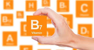 Saclarin Temel Yapi Tasi Biyotin Adi Verilen Protein Cesididir B7 Vitamini Ile Olusan Biyotin Saclarinizin Ihtiyac Duydugu Besinle Vitamin Biyotin Vitaminler