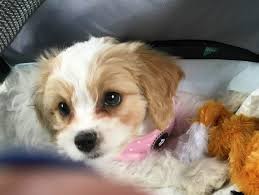 We're home!!! ❤️🙌