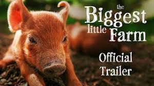 45,409 likes · 163 talking about this. The Biggest Little Farm Official Trailer Youtube