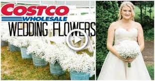We did not find results for: Costco Wedding Flowers Review How To Costco Wedding Flowers Diy Wedding Flowers Wholesale Flowers Wedding