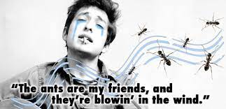 The Cats One Way Wind Lyrics Nyo8 News