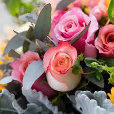 We deliver daily to winchester, berryville, boyce, clearbrook, cross junction, gore, middletown, millwood, star tannery, stephenson, stephens city, and whitehall, white post. Roseburg Florist Flower Delivery By Barb S Flowers