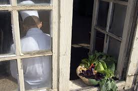 Des assiettes creuses et des assiettes plates pour tous les goûts. Rois Du Potager De La Reine Ducasse Et Baraton Du Jardin A L Assiette
