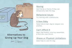 Facebook is showing information to help you better understand the purpose of a page. Reasons Not To Give Up Your Dog