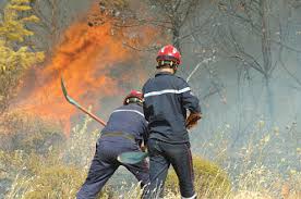 Retrouvez les dernières informations nationales, locales et régionales, des enquêtes, des reportages et un regard critique sur la vie politique, économique et sociale de l'algérie. Feux De Foret Du Verre A La Tonne D Eau El Watan