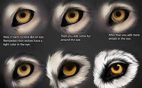 What's the best way to draw an animal? 100 Best Digital Painting Tutorials To Help You Paint Like A Master Jae Johns