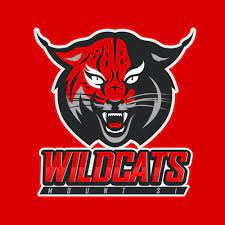 She wants to invade the male preserve of the boys sports because she knows a lot about the game. Wildcat Logos The Best Wildcat Logo Images 99designs