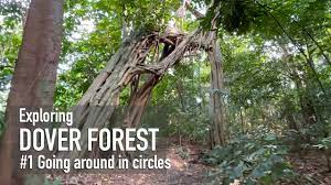 Environmental baseline study for dover / ulu pandan for hdb by aecom) after several weeks of public outcry about the reclassification of the clementi forest for redevelopment, the dover forest has now come under the spotlight as well, sparking more calls for conservation. Exploring Dover Forest Going Around In Circles 4k Youtube