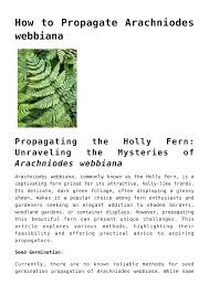 Image result for Arachniodes webbiana