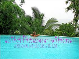 Nahan is one of the most visited and. Wildflower Villas A Goa Eco Resort Hippie In Heels