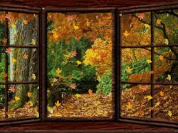 Pin By Monika Sante On Landscapes Pinterest Falling Leaves Autumn And Leaves