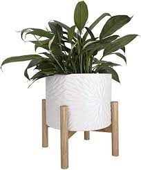 Compare prices & read reviews. Amazon Com Ceramic Plant Pot With Wood Stand 8 Inch White Cylinder Floral Pattern Embossed Flower Pot Indoor With Wooden Planter Holder Garden Outdoor