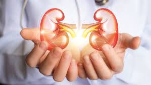 Problems related to specific kidney diseases in pregnancy. Raising The Standards For Chronic Kidney Disease Treatment