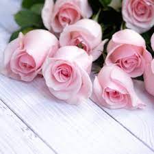 We did not find results for: Pretty Pastel Flowers Aren T Just For Mother S Day