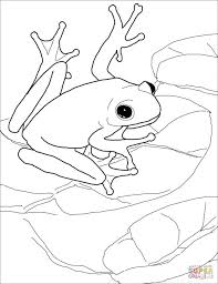 Red eyed tree frog coloring page. American Green Tree Frog Super Coloring Frog Coloring Pages Bear Coloring Pages American Green Tree Frog