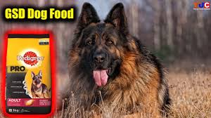 As a german shepherd puppy food, this formula provides the optimal balance of quality protein and healthy fats to support your puppy's growth and development. German Shepherd Dog Food Which You Should Use Tuc Youtube