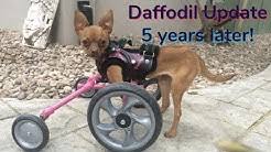 Maybe you would like to learn more about one of these? San Francisco Spca Youtube