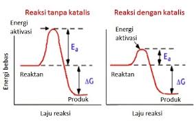 Diagram tingkat energinya jawab : Prolog Materi Katalis Zenius Education