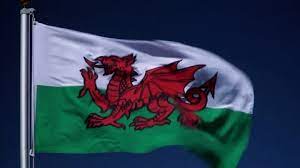 Isolated red welsh dragon on a white background. Welsh Flag Stock Footage Royalty Free Stock Videos Pond5