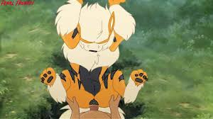 Arcanine - EPORNER
